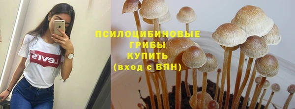 PSILOCYBIN Балабаново