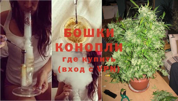 трава Михайловка