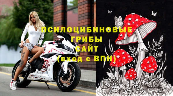 трава Михайловка
