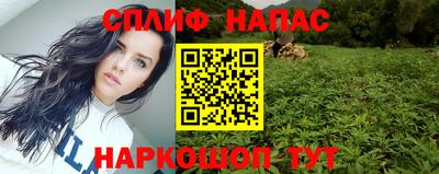 прущие грибы Будённовск
