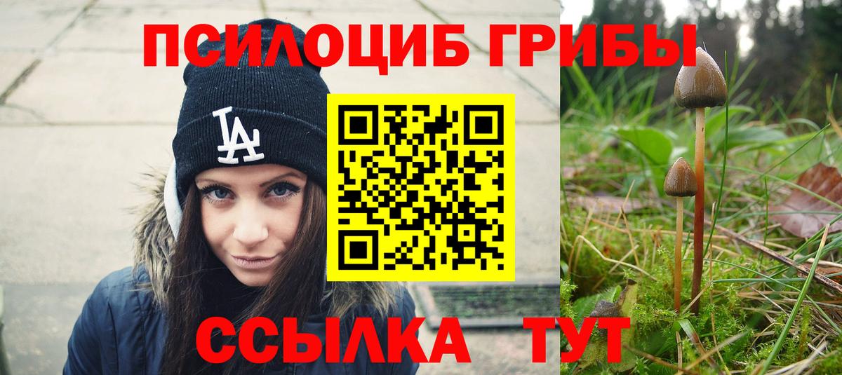 Галлюциногенные грибы Psilocybine cubensis  цена наркотик  Калач-на-Дону 
