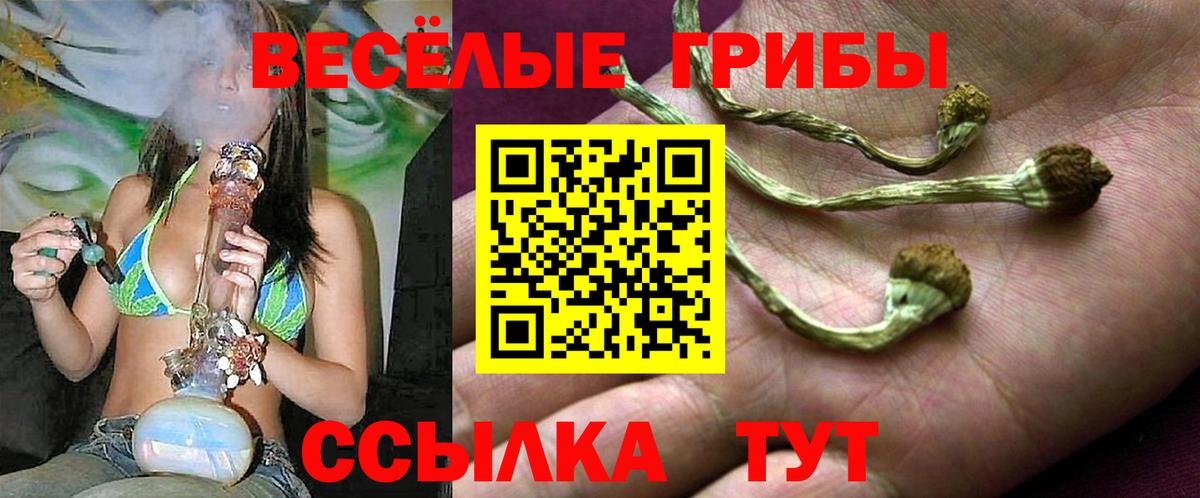 Галлюциногенные грибы Psilocybe  Псилоцибиновые грибы Psilocybe  Калач-на-Дону  Вход с VPN 