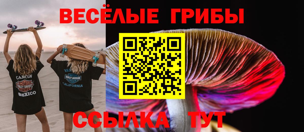 Псилоцибиновые грибы Cubensis Калач-на-Дону